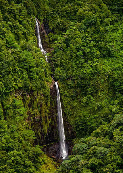 Isla del Coco Catarata