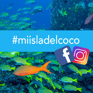 Campaña #miisladelcoco