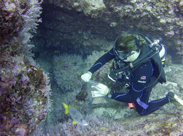 Equipo de Investigacion especies no nativas en la Isla del Coco