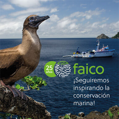 25 aniversario de Faico. Seguiremos inspirando la conservación marina