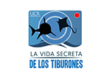La Vida Secreta de los Tiburones