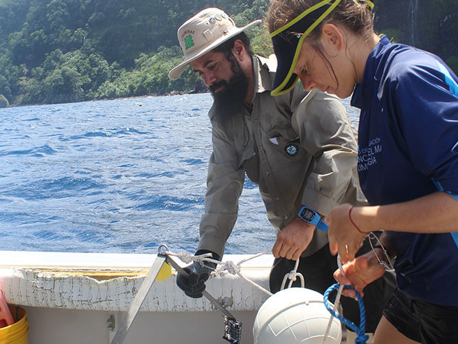 Protocolo de monitoreo ecológico de grandes pelágicos marinos