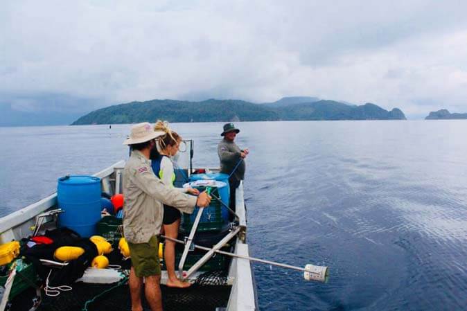 Protocolo de monitoreo ecológico de grandes pelágicos marinos