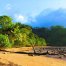 Parque Nacional Isla del Coco es nominado para el premio “Refugio Global Oceánico"
