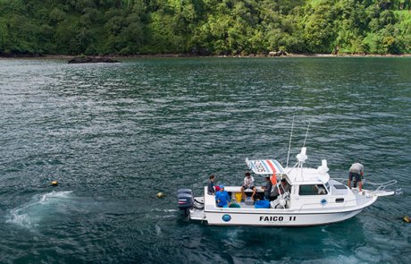 Investigación y conservación de tiburones migratorios del Parque Nacional Isla del Coco