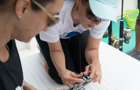 Investigación y conservación de tiburones migratorios del Parque Nacional Isla del Coco