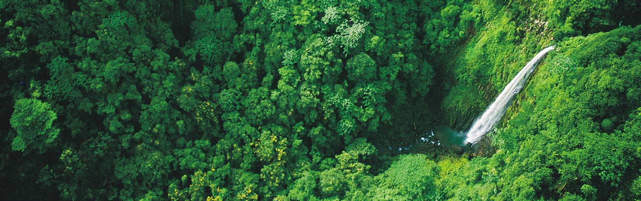 Isla del Coco, Catarata, foto aérea