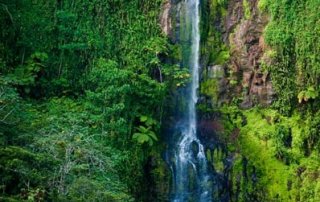 Isla del Coco es declarado “Blue Park”