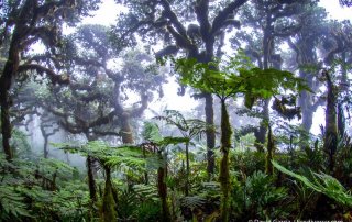 Isla del Coco es declarado “Blue Park”