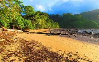 Isla del Coco es declarado “Blue Park”