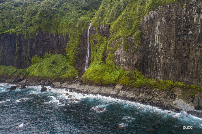 Isla del Coco - Pucci