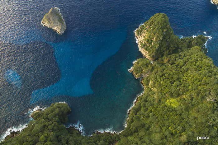 Isla del Coco - Pucci
