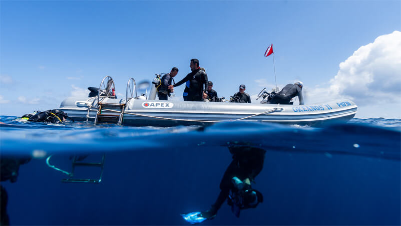 Buceo en la Isla del Coco, a bordo de Okeanos