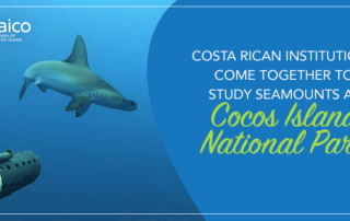 Costa Rican institutions come together to study seamounts at Cocos Island National Park