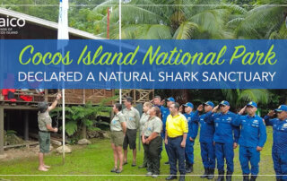 Cocos Island National Park declared a natural shark sanctuary