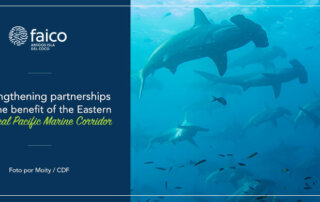 Strengthening partnerships for the benefit of the Eastern Tropical Pacific Marine Corridor