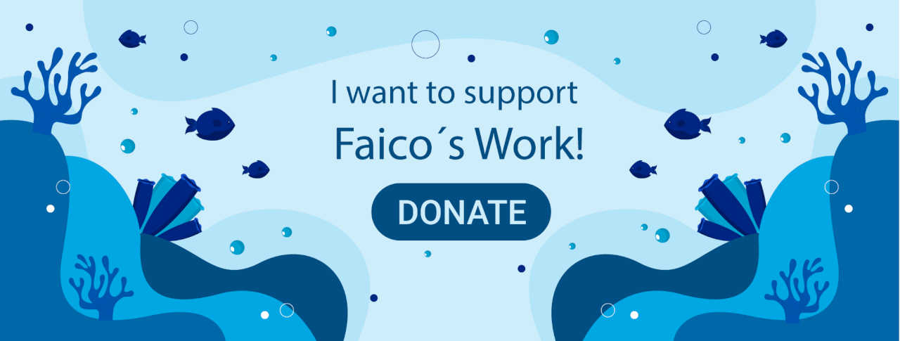 I want to support faico´s work. Donate!