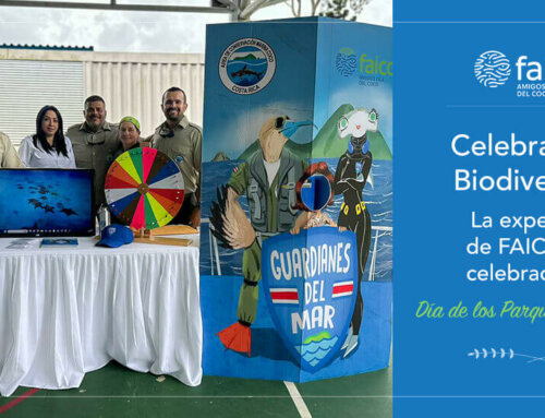 Celebrando la Biodiversidad: la experiencia de FAICO en la celebración del Día de los Parques Nacionales