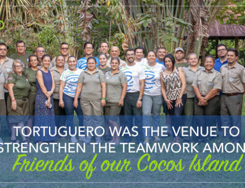 Tortuguero was the venue to strengthen the teamwork among friends of our Cocos Island