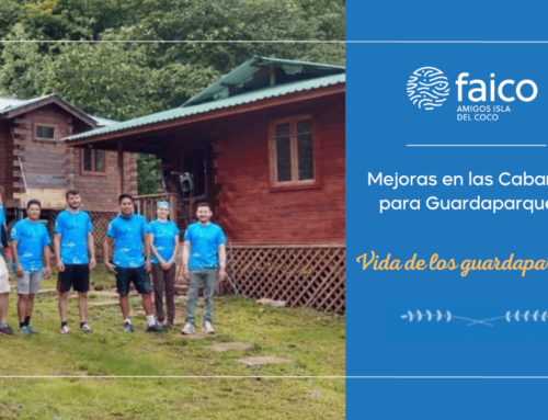 Mejoras en las Cabañas para Guardaparques en la Isla del Coco: Un Proyecto de Conservación