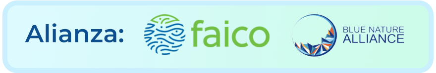 Alianza Faico – Blue Nature Alliance Alianza Faico - Blue Nature Alliance