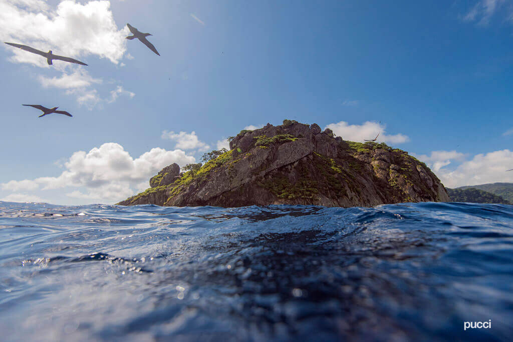 Cocos Island