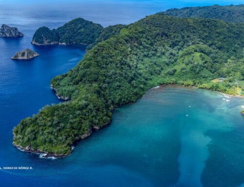 Hacia la equidad de género en conservación marina: Los esfuerzos del Área de Conservación Marina Coco
