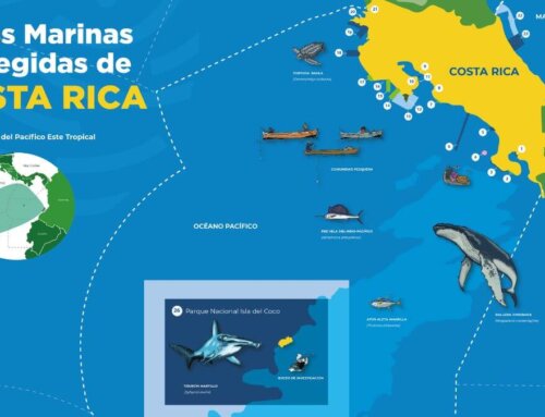 Columna Mareas: Faico aliado clave para enfrentar el reto de la conservación efectiva de las Áreas Marinas Protegidas Oceánicas de Costa Rica